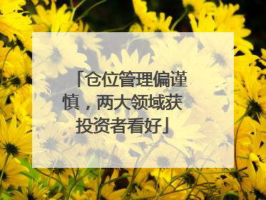 仓位管理偏谨慎，两大领域获投资者看好
