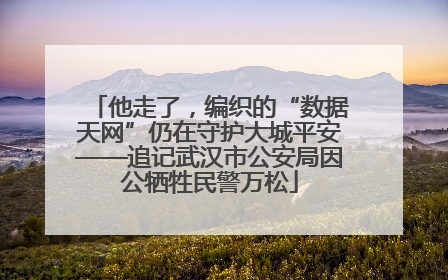 他走了，编织的“数据天网”仍在守护大城平安——追记武汉市公安局因公牺牲民警万松
