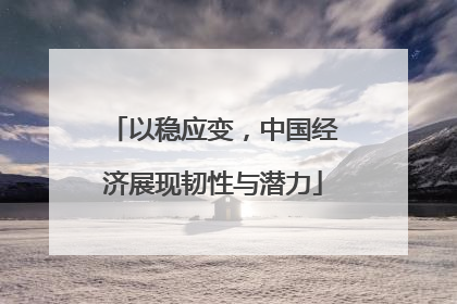 以稳应变,中国经济展现韧性与潜力