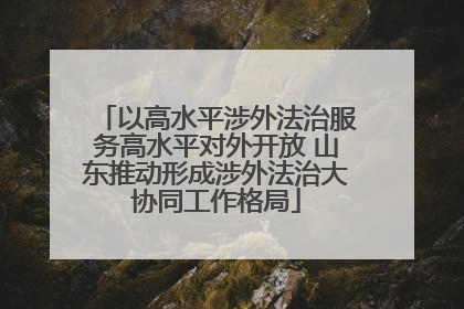 以高水平涉外法治服务高水平对外开放 山东推动形成涉外法治大协同工作格局