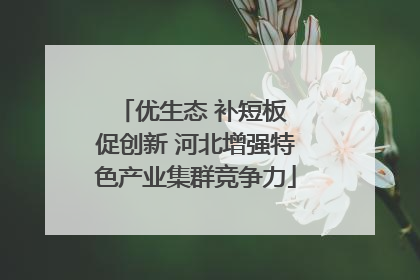 优生态 补短板 促创新 河北增强特色产业集群竞争力