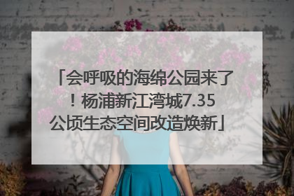 会呼吸的海绵公园来了！杨浦新江湾城7.35公顷生态空间改造焕新