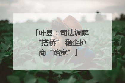 叶县：司法调解“搭桥” 稳企护商“路宽”