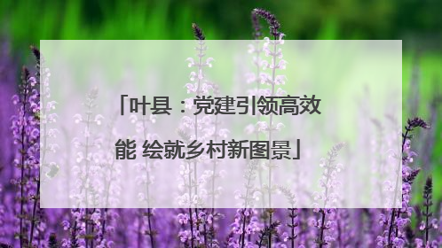 叶县：党建引领高效能 绘就乡村新图景