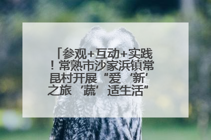 参观+互动+实践！常熟市沙家浜镇常昆村开展“爱‘新’之旅‘蔬’适生活”参观学习活动