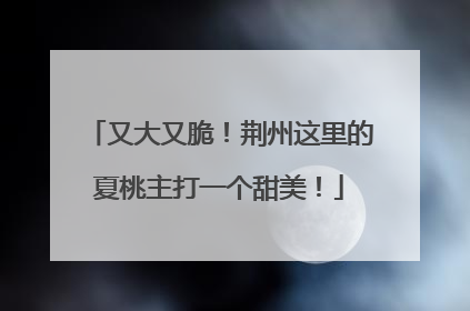 又大又脆！荆州这里的夏桃主打一个甜美！