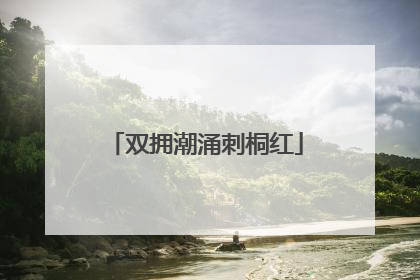 双拥潮涌刺桐红