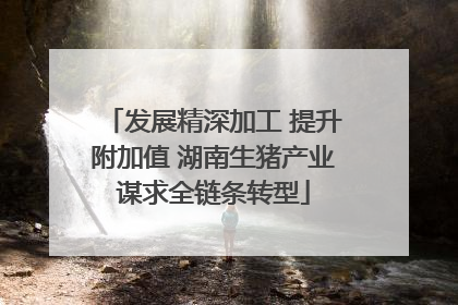 发展精深加工 提升附加值 湖南生猪产业谋求全链条转型