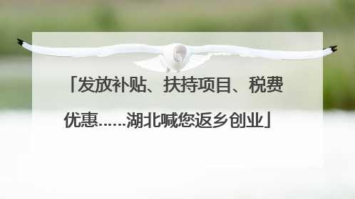 发放补贴、扶持项目、税费优惠……湖北喊您返乡创业