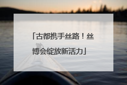 古都携手丝路！丝博会绽放新活力