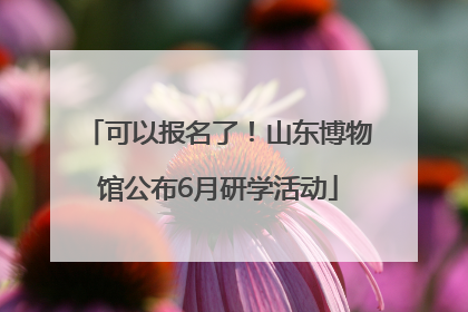 可以报名了！山东博物馆公布6月研学活动