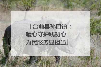 台前县孙口镇：暖心守护践初心 为民服务显担当