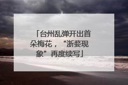 台州乱弹开出首朵梅花，“浙婺现象”再度续写