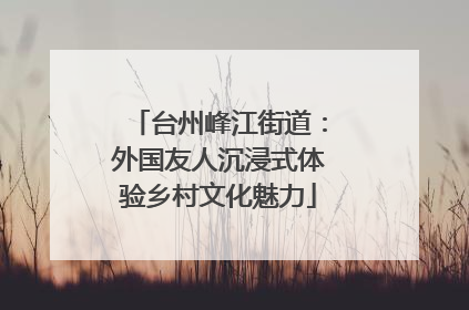 台州峰江街道：外国友人沉浸式体验乡村文化魅力