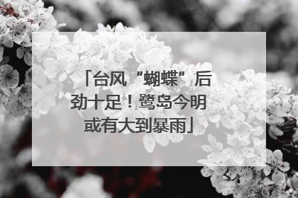 台风“蝴蝶”后劲十足！鹭岛今明或有大到暴雨