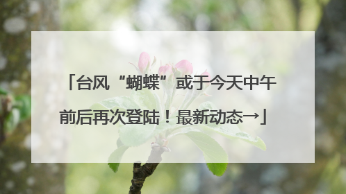 台风“蝴蝶”或于今天中午前后再次登陆！最新动态→