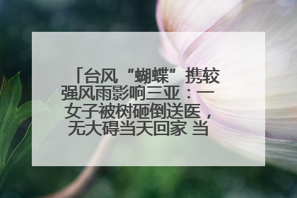 台风“蝴蝶”携较强风雨影响三亚：一女子被树砸倒送医，无大碍当天回家 当地已紧急清障