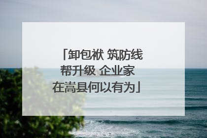 卸包袱 筑防线 帮升级 企业家在嵩县何以有为