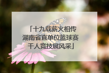 十九载薪火相传 湖南省直单位篮球赛千人竞技展风采