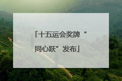 十五运会奖牌“同心跃”发布