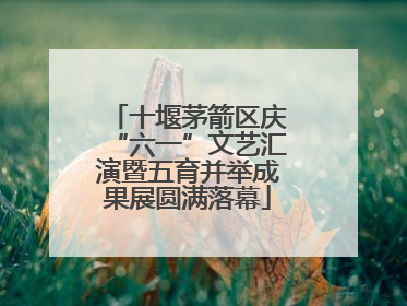 十堰茅箭区庆“六一”文艺汇演暨五育并举成果展圆满落幕