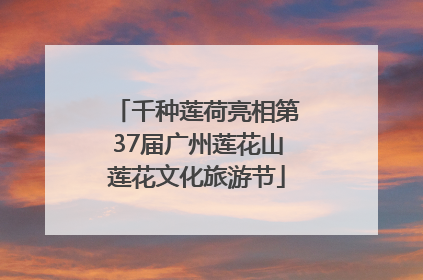 千种莲荷亮相第37届广州莲花山莲花文化旅游节
