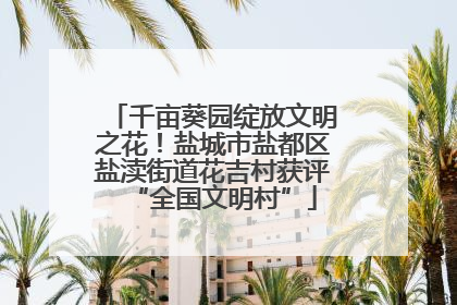 千亩葵园绽放文明之花！盐城市盐都区盐渎街道花吉村获评“全国文明村”
