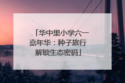 华中里小学六一嘉年华：种子旅行解锁生态密码