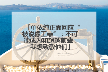 单依纯正面回应“被说像王菲”：不可能成为和超越前辈，我想致敬他们