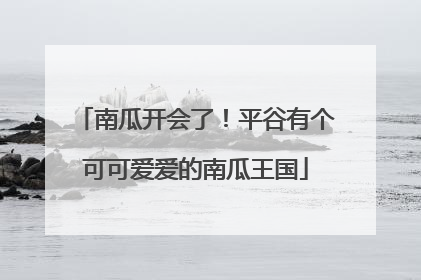 南瓜开会了！平谷有个可可爱爱的南瓜王国