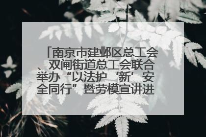 南京市建邺区总工会、双闸街道总工会联合举办“以法护‘新’安全同行”暨劳模宣讲进工地服务活动