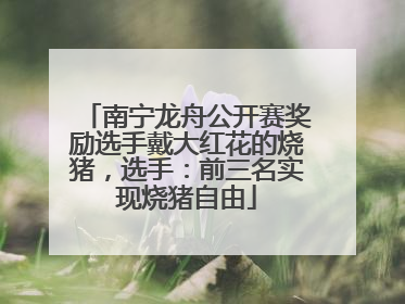 南宁龙舟公开赛奖励选手戴大红花的烧猪，选手：前三名实现烧猪自由