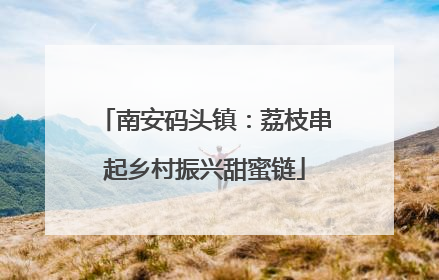 南安码头镇：荔枝串起乡村振兴甜蜜链
