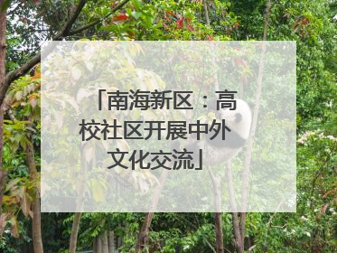 南海新区：高校社区开展中外文化交流