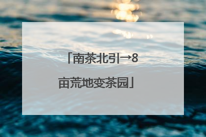 南茶北引→8亩荒地变茶园