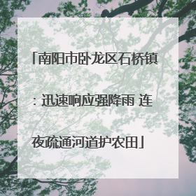 南阳市卧龙区石桥镇：迅速响应强降雨 连夜疏通河道护农田