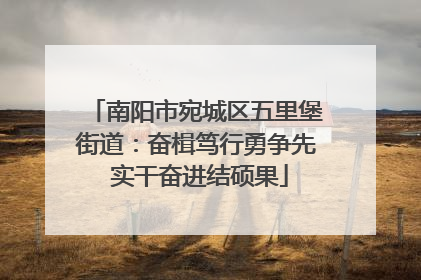 南阳市宛城区五里堡街道：奋楫笃行勇争先 实干奋进结硕果