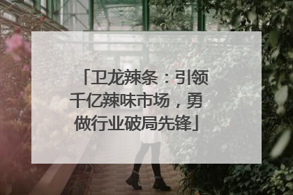 卫龙辣条：引领千亿辣味市场，勇做行业破局先锋
