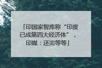 印国家智库称“印度已成第四大经济体”，印媒：还需等等
