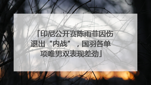 印尼公开赛陈雨菲因伤退出“内战”，国羽各单项唯男双表现差劲