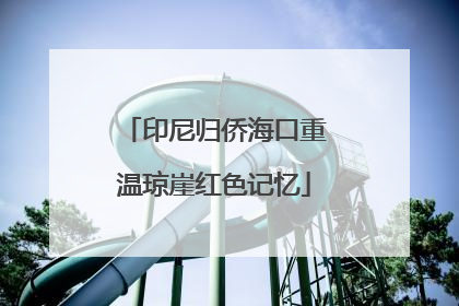 印尼归侨海口重温琼崖红色记忆