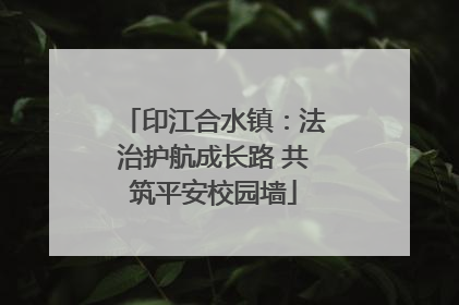 印江合水镇：法治护航成长路 共筑平安校园墙