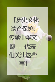 历史文化遗产保护、传承中华文脉……代表们关注这些事
