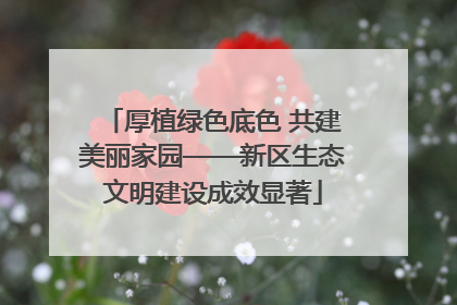 厚植绿色底色 共建美丽家园——新区生态文明建设成效显著