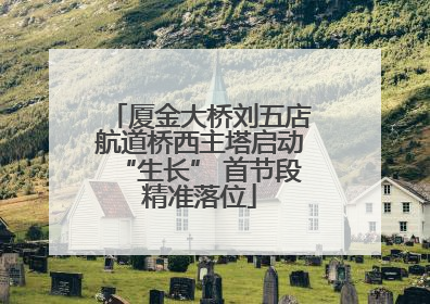厦金大桥刘五店航道桥西主塔启动“生长” 首节段精准落位
