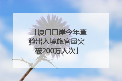 厦门口岸今年查验出入境旅客量突破200万人次