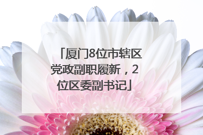 厦门8位市辖区党政副职履新，2位区委副书记