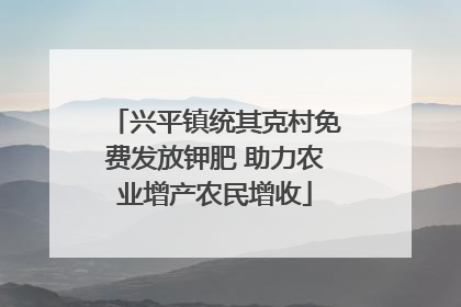 兴平镇统其克村免费发放钾肥 助力农业增产农民增收
