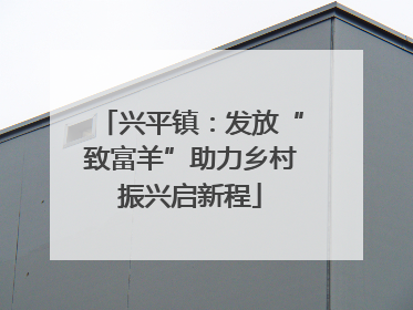 兴平镇：发放“致富羊”助力乡村振兴启新程