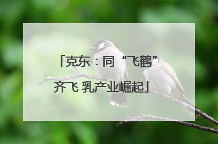 克东：同“飞鹤”齐飞 乳产业崛起